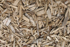 biomass boilers Ebnal